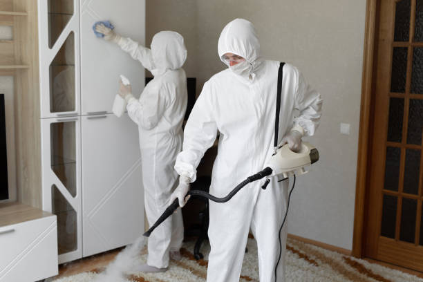 Best Emergency Mold Remediation in Hicksville, NY