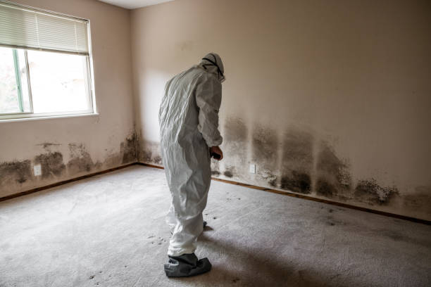 Best HVAC Mold Remediation in Hicksville, NY